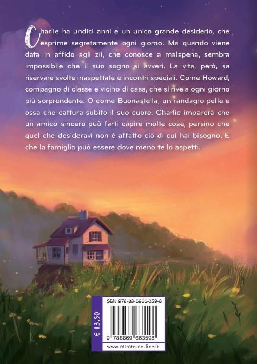 Il mio più grande desiderio - Barbara O'Connor - 2