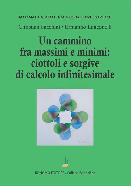 Un cammino tra massimi e minimi: ciottoli e sorgive di calcolo infinitesimale - Christian Facchini,Ermanno Lanconelli - copertina
