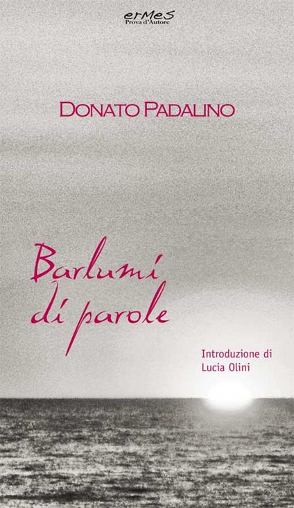 Barlumi di parole - Donato Padalino - copertina