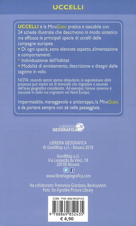 Che specie di uccello è questa? - 2