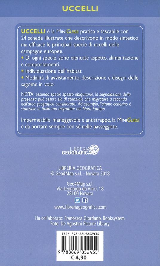 Che specie di uccello è questa? - 2