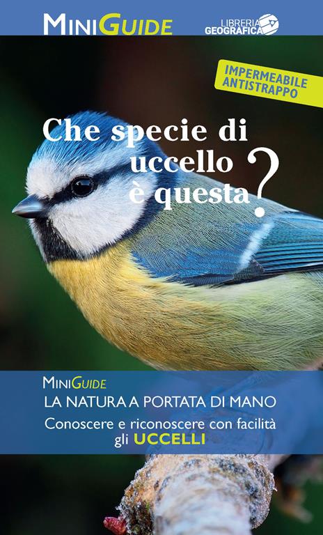 Che specie di uccello è questa? - copertina