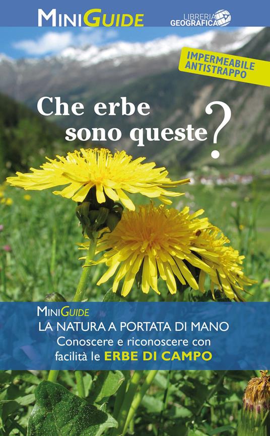 Che erbe sono queste? - copertina