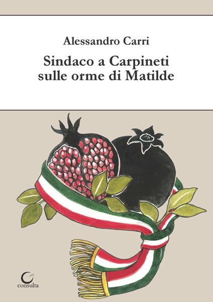 Sindaco a Carpineti sulle orme di Matilde - Alessandro Carri - copertina