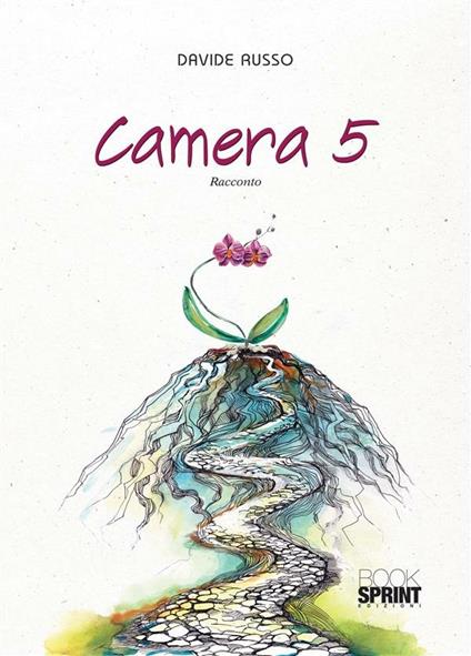 Camera 5 - Davide Russo - ebook