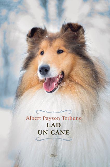Lad. Un cane - Albert Payson Terhune - copertina