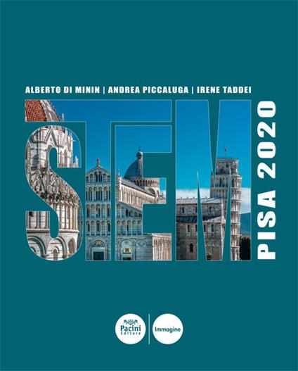 STEM. Pisa 2020. Ediz. illustrata - Alberto Di Minin,Andrea Piccaluga,Giuseppe Meucci - copertina