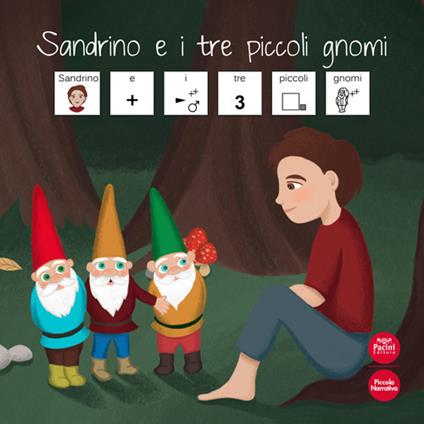 Sandrino e i tre piccoli gnomi. Ediz. CAA - Anastasia Buda,Rosita Piccolo - copertina