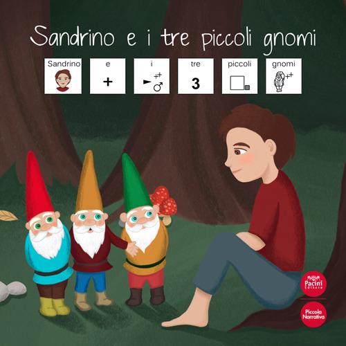 Sandrino e i tre piccoli gnomi. Ediz. CAA - Anastasia Buda,Rosita Piccolo - copertina