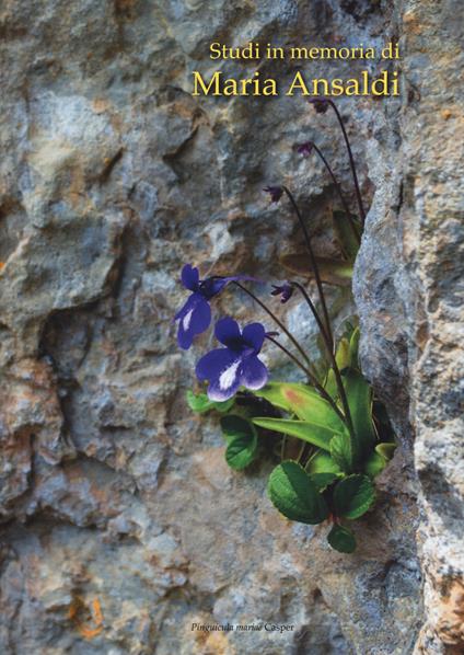 Studi in memoria di Maria Ansaldi (1959-2013). Acta Apuana anno XVI-XVII (2017-2018) - copertina