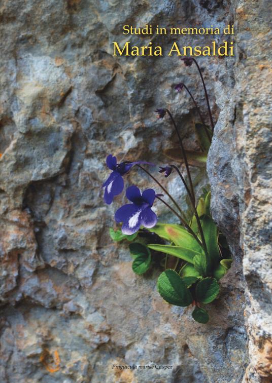 Studi in memoria di Maria Ansaldi (1959-2013). Acta Apuana anno XVI-XVII (2017-2018) - copertina