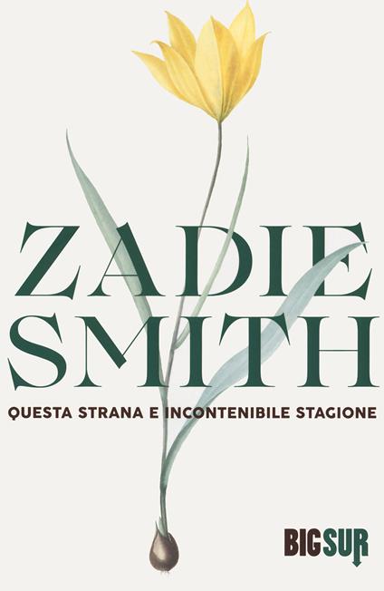 Questa strana e incontenibile stagione - Zadie Smith - copertina