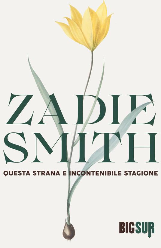 Questa strana e incontenibile stagione - Zadie Smith - copertina