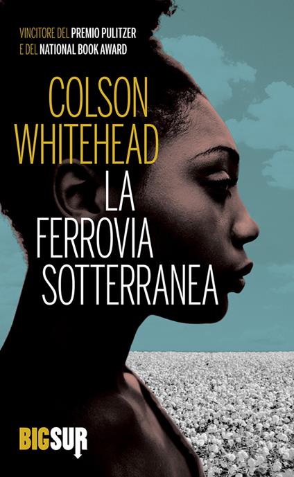 La ferrovia sotterranea - Colson Whitehead,Martina Testa - ebook