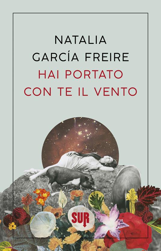 Hai portato con te il vento - Natalia García Freire,Lara Dalla Vecchia - ebook