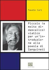 Piccolo (e molto didascalico) viatico per un'introduzione alla poesia di Sanguinetti - Fausto Curi - copertina