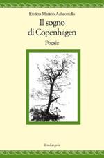 Il sogno di Copenhagen