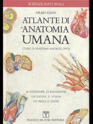 Atlante di anatomia umana