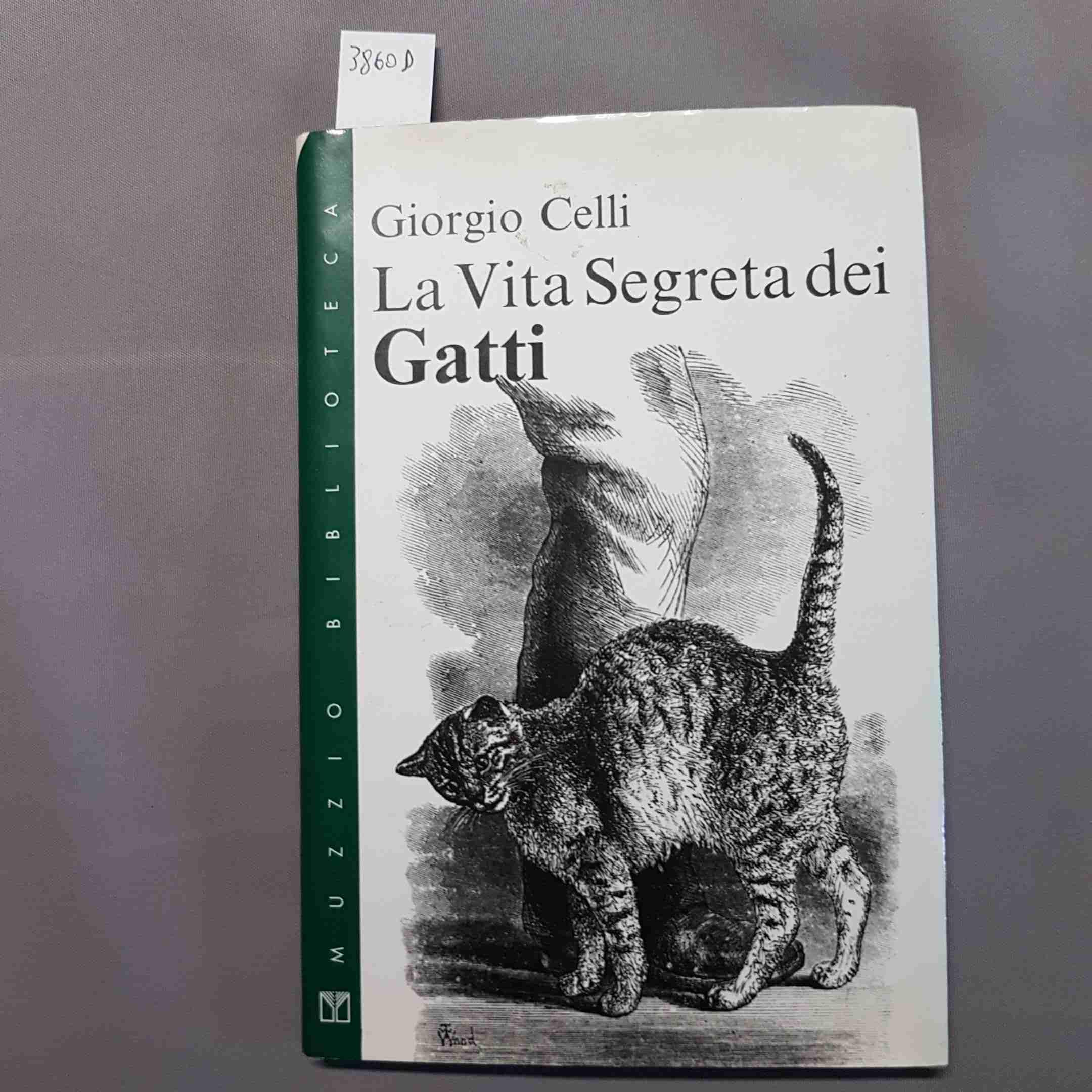 Libreria Serendipity