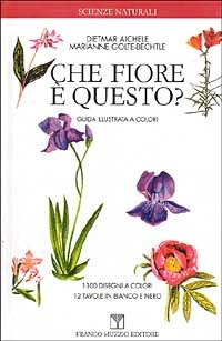 Libreria Serendipity