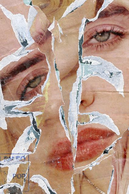 Hilarius Hofstede. The collages - copertina