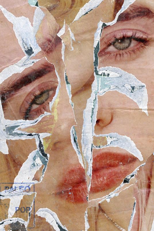 Hilarius Hofstede. The collages - copertina