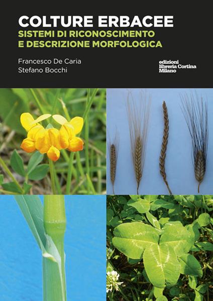 Colture erbacee. Riconoscimento e descrizione morfologica - Francesco De Caria,Stefano Bocchi - copertina