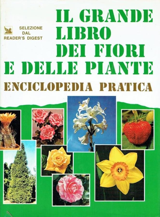 Libreria della Spada