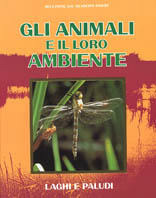 Stampe Antiche e Libri d'Arte Bottigella