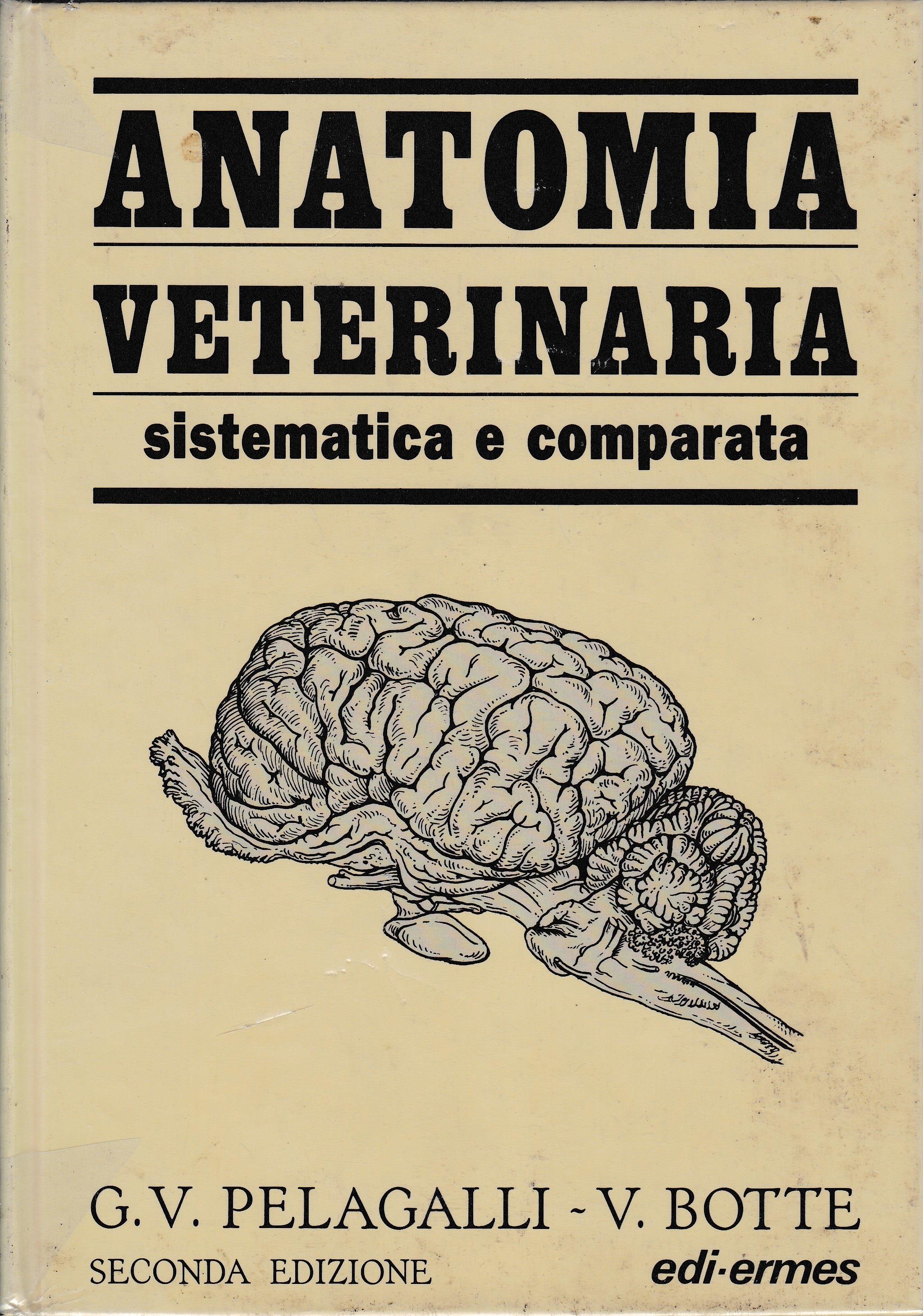 Anatomia veterinaria sistematica e comparata. Vol. 3