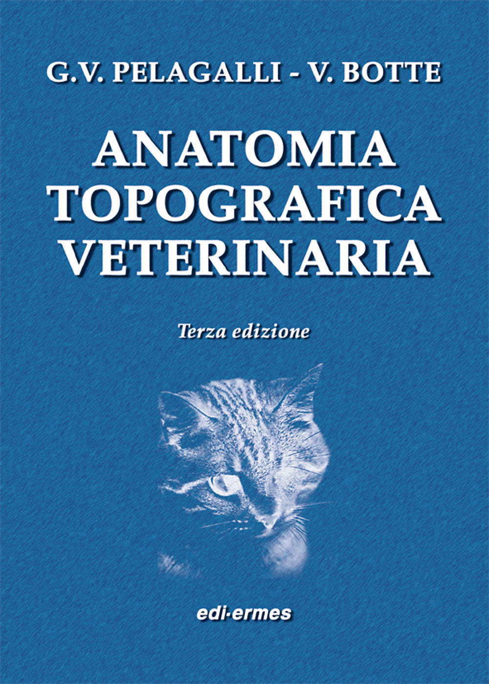 Libreria Bortoloso