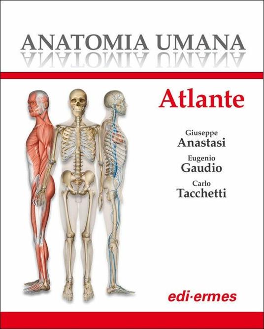 Anatomia umana. Atlante - copertina