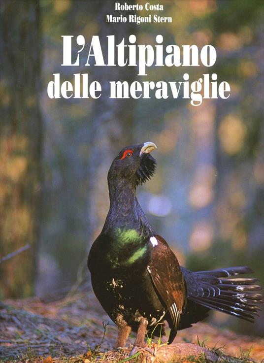 L' altipiano delle meraviglie - Mario Rigoni Stern,Roberto Costa - copertina