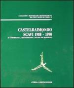 Castelraimondo. Scavi (1988-1990). Vol. 1: Lo scavo