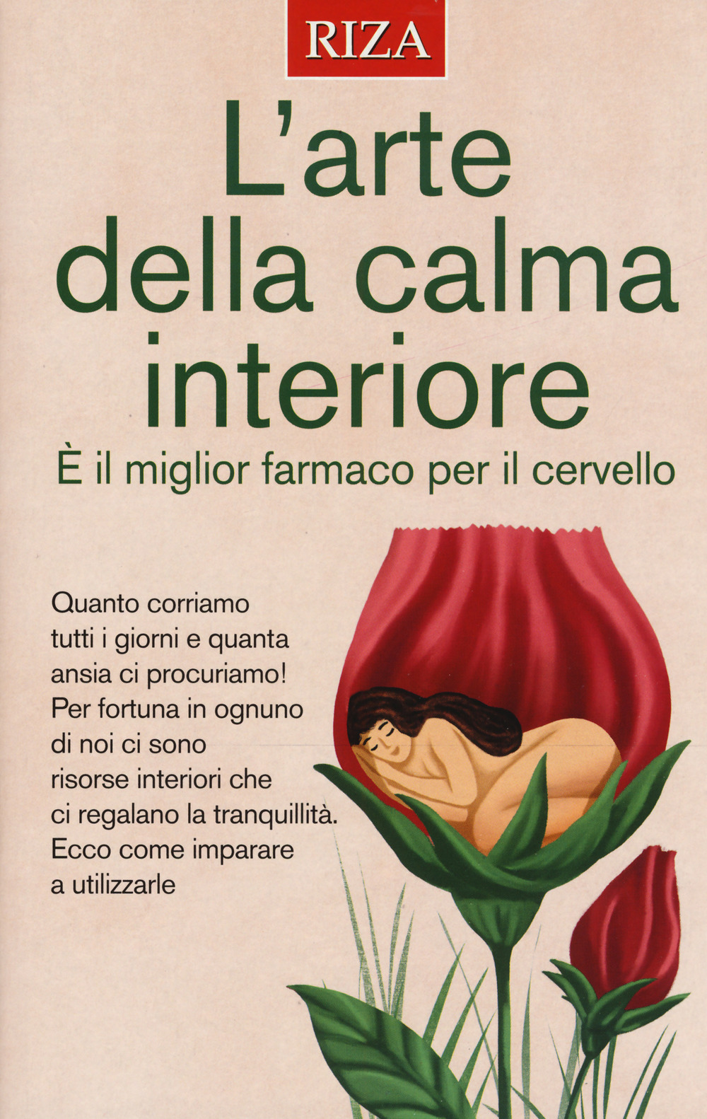 Libreria Imagine's Book