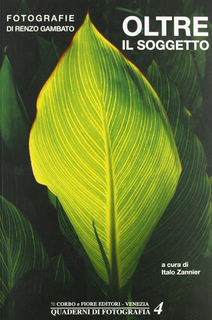 Oltre il soggetto. Ediz. illustrata - Renzo Gambato - copertina