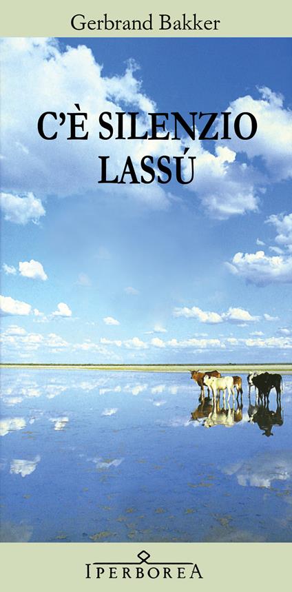 C'è silenzio lassù - Gerbrand Bakker,Elisabetta Svaluto Moreolo - ebook