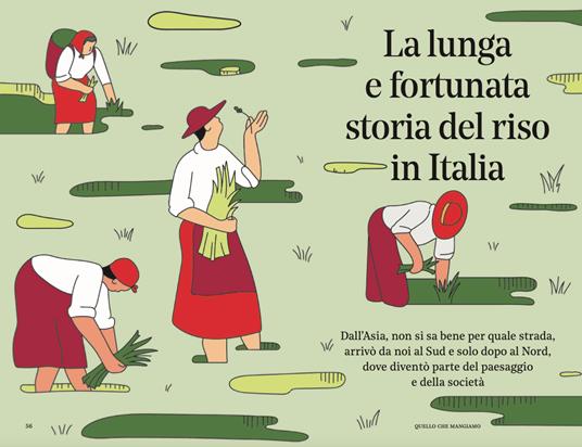 Cose spiegate bene. Quello che mangiamo - 4