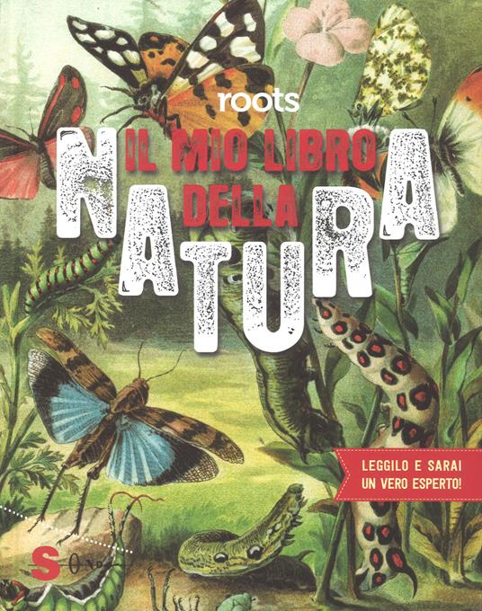 Roots. Il mio libro della natura. Ediz. a colori - Nicole Van Borkulo,Geert-Jan Roebers - copertina