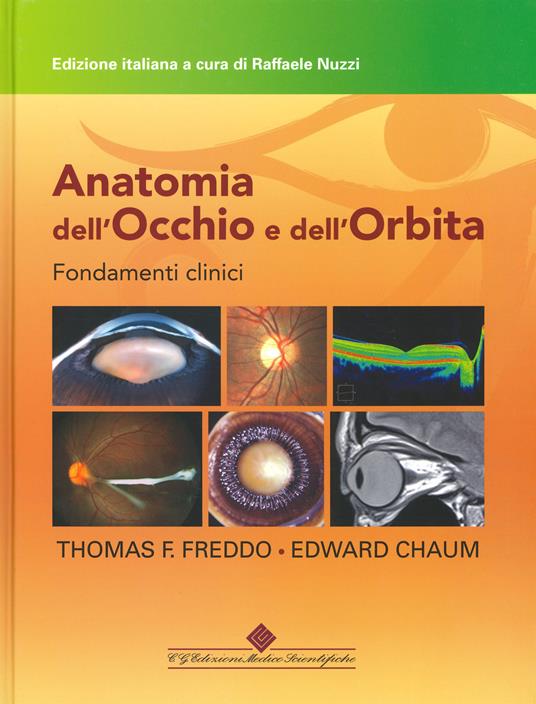 Anatomia dell'occhio e dell'orbita. Fondamenti clinici - Thomas F. Freddo,Edward Chaum - copertina