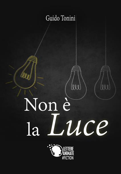 Non è la luce - Guido Tonini - copertina