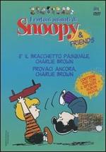 È il braccialetto pasquale, Charlie Brown-Provaci ancora, Charlie Brown. Con DVD
