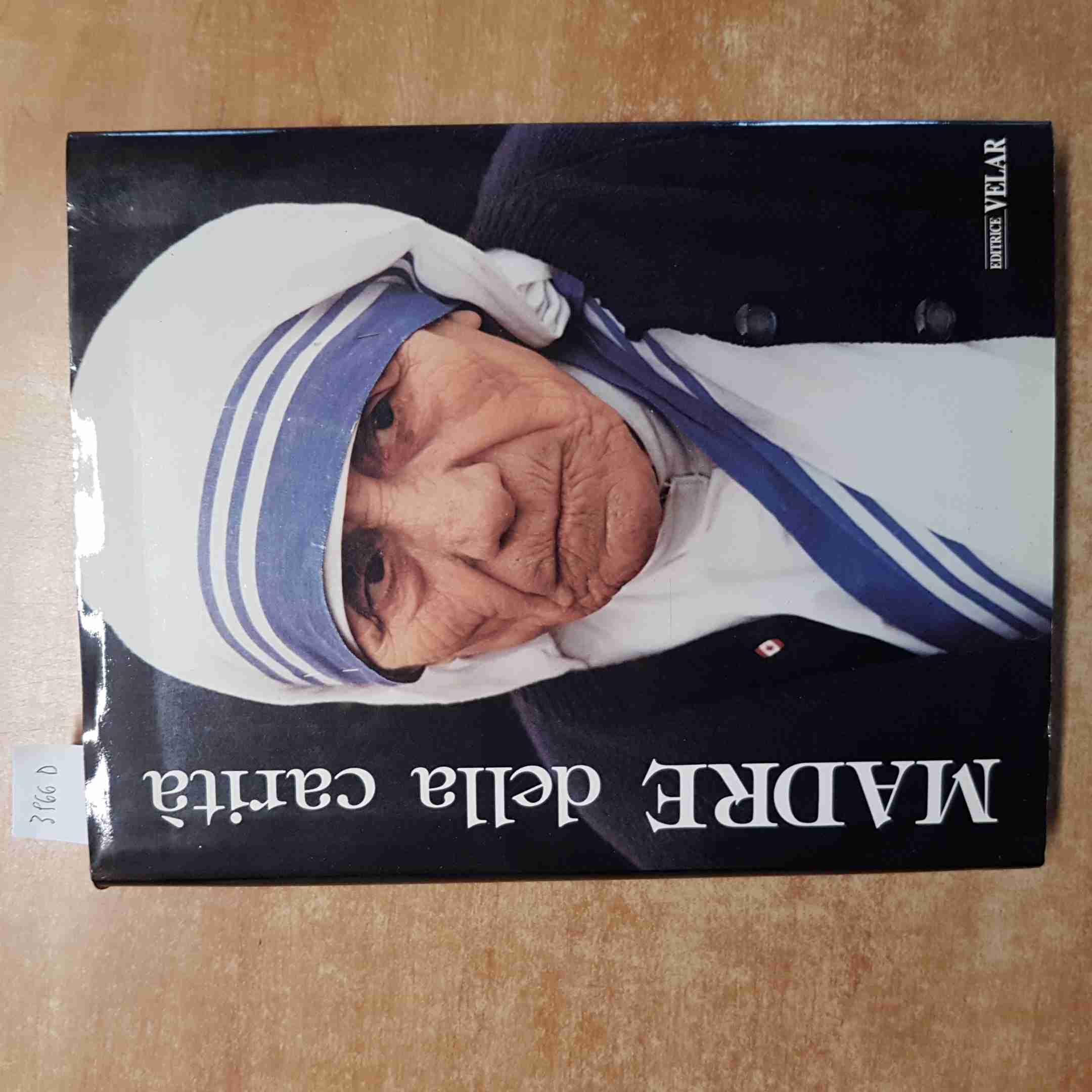 Madre della carità