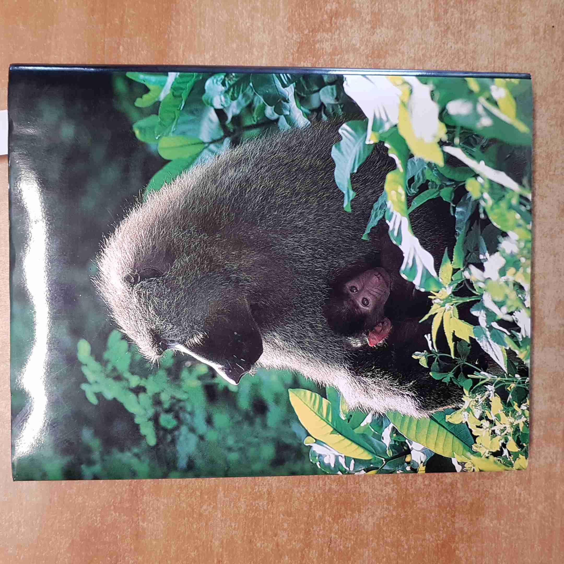 Tanzania. Da Zanzibar al Kilimanjaro