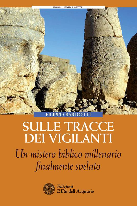 Sulle tracce dei Vigilanti. Un mistero biblico millenario finalmente svelato - Filippo Bardotti - ebook