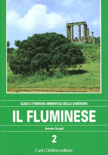 Il fluminese - Antonio Scrugli - copertina