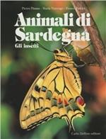 Animali di Sardegna. Gli insetti