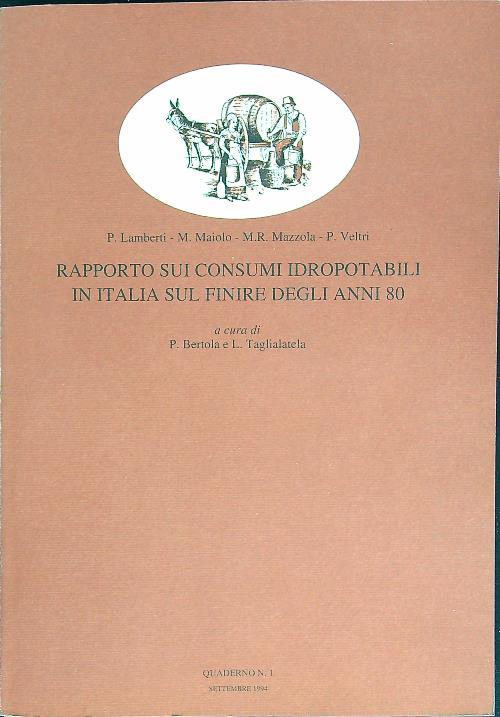 Rapporto sui consumi idropotabili in Italia sul finire degli anni '80
