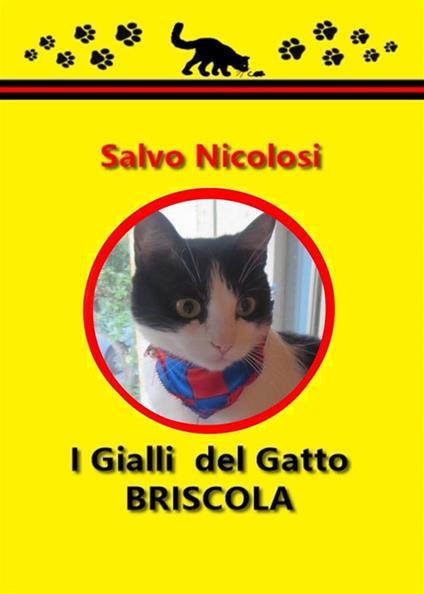 I gialli del gatto Briscola - Salvo Nicolosi - ebook