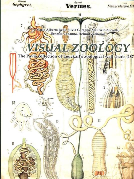 Visual zoology. The Pavia collection of Leuckart's zoological wall charts (1877). Con CD-ROM - C. Alberto Redi,Ernesto Capanna,Silvia Garagna - 2